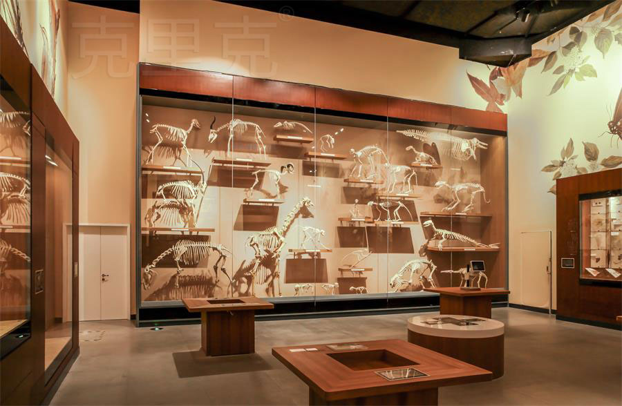 博物館高展柜尺寸設(shè)計(jì)標(biāo)準(zhǔn)