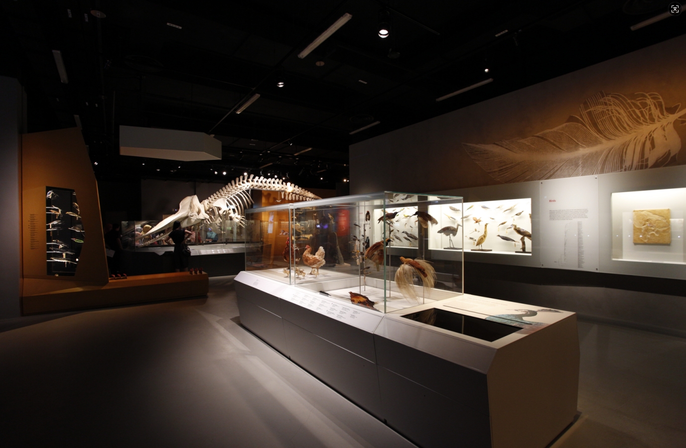 博物館敘事展覽：互動(dòng)性原則